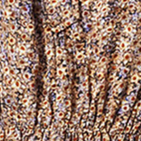 2680-azalea-top-6.webp AZALEA TOP