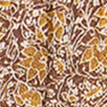 6287-jocadia-shorts-6.webp JOCADIA SHORTS