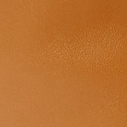 Leyden Mini bag