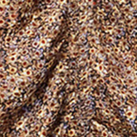 7262-lonea-top-6.webp LONEA TOP
